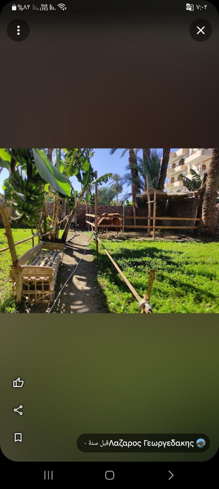 Villa Rebecca Professor'S Paradise Luxor Ngoại thất bức ảnh