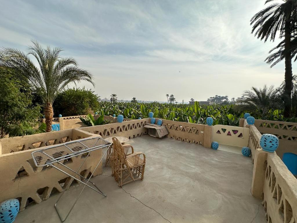 Villa Rebecca Professor'S Paradise Luxor Ngoại thất bức ảnh